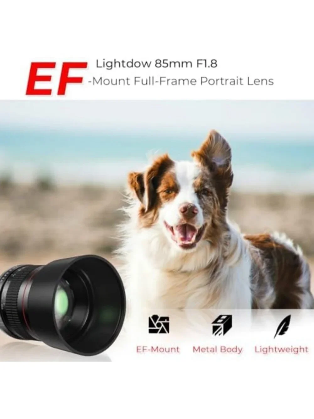 85mm f/1.8 Portrait Lens - Manual Focus for Canon DSLR Cameras, Perfect for